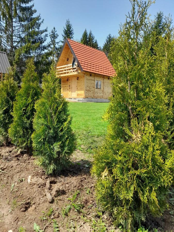 Tisina Tare Villa Bajina Basta Eksteriør bilde